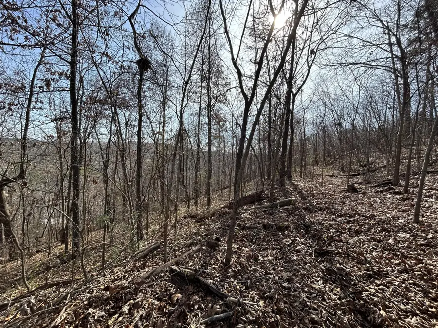 0 Julian Ridge Road, Chattanooga, TN 37421 - Image #2