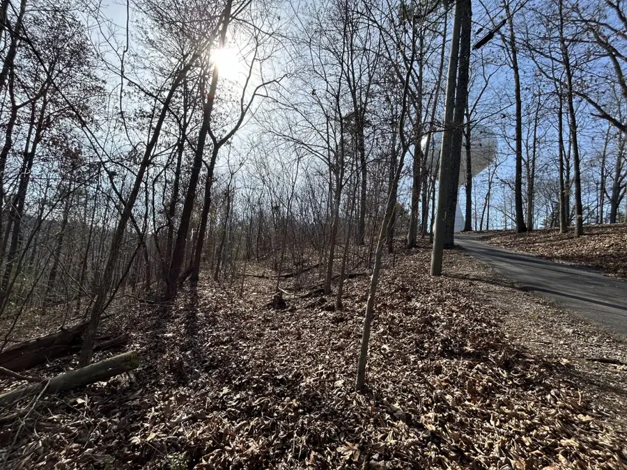 0 Julian Ridge Road, Chattanooga, TN 37421 - Image #3