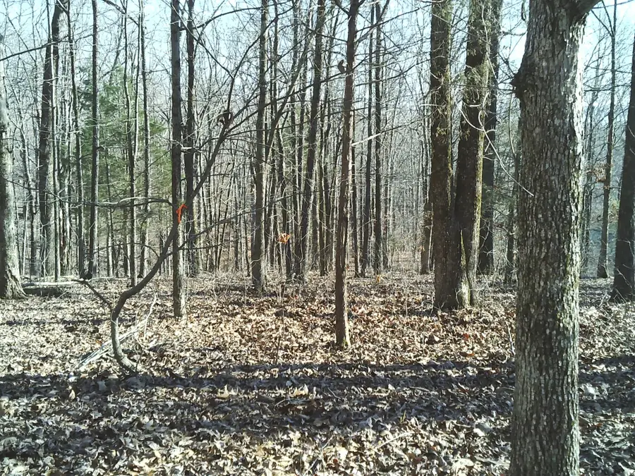 0 Eaglet Ct, Dover, TN 37058 - Image #2