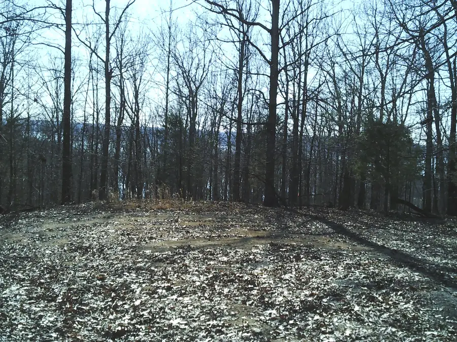 0 Eaglet Ct, Dover, TN 37058 - Image #3