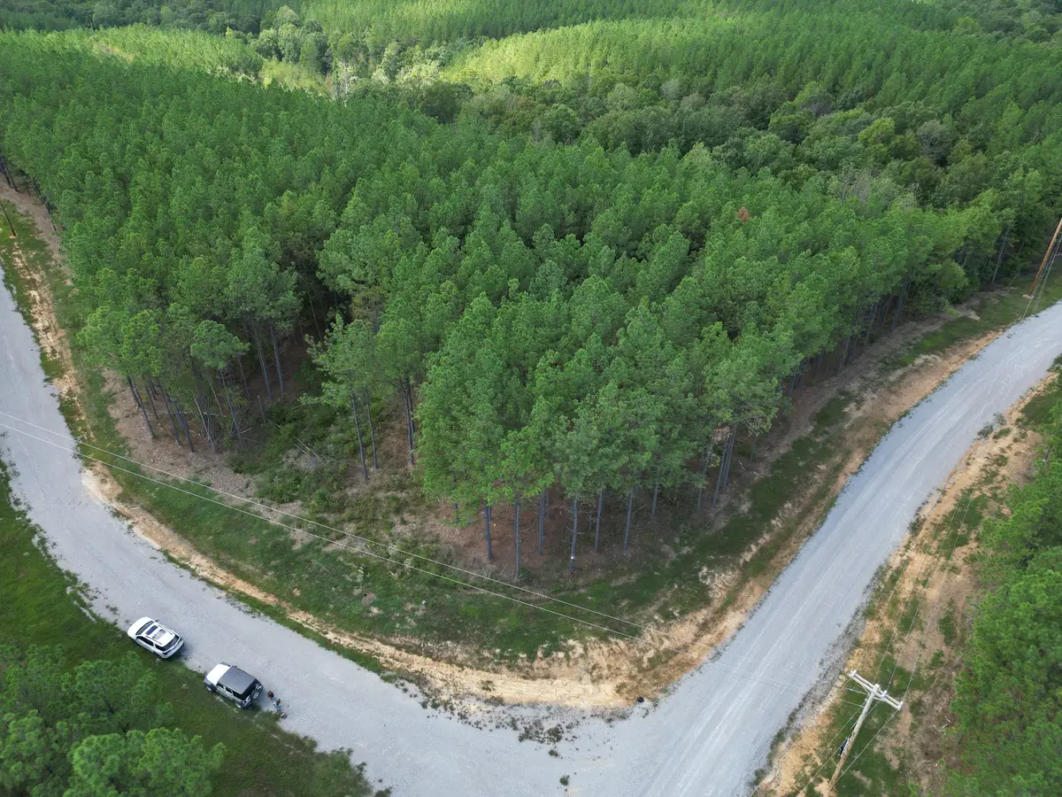 36 Pioneer Dr, Linden, TN 37096 - Image #1