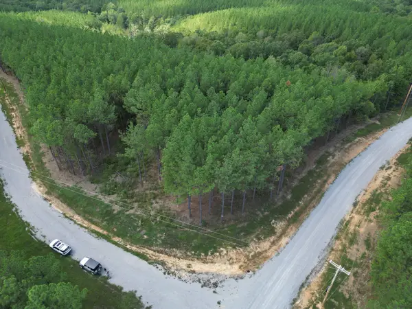 36 Pioneer Dr, Linden, TN 37096