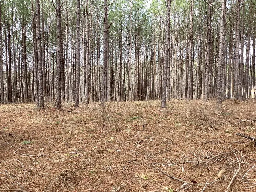 36 Pioneer Dr, Linden, TN 37096 - Image #3