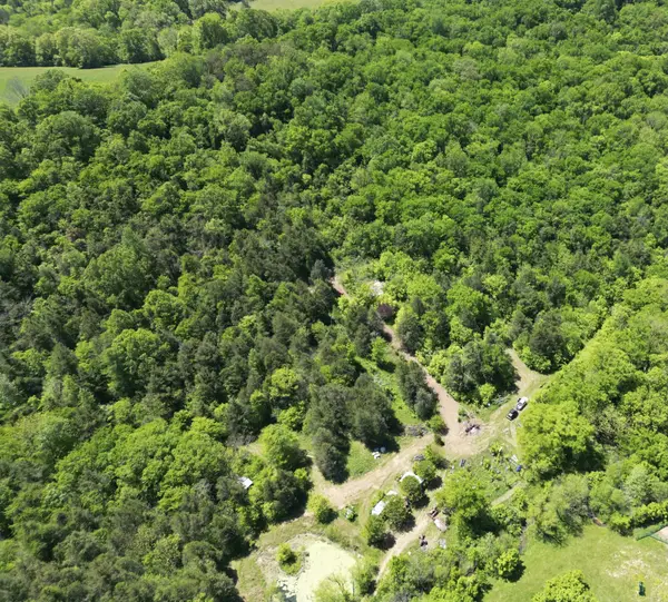 66 Thompson Hollow Rd, Taft, TN 38488