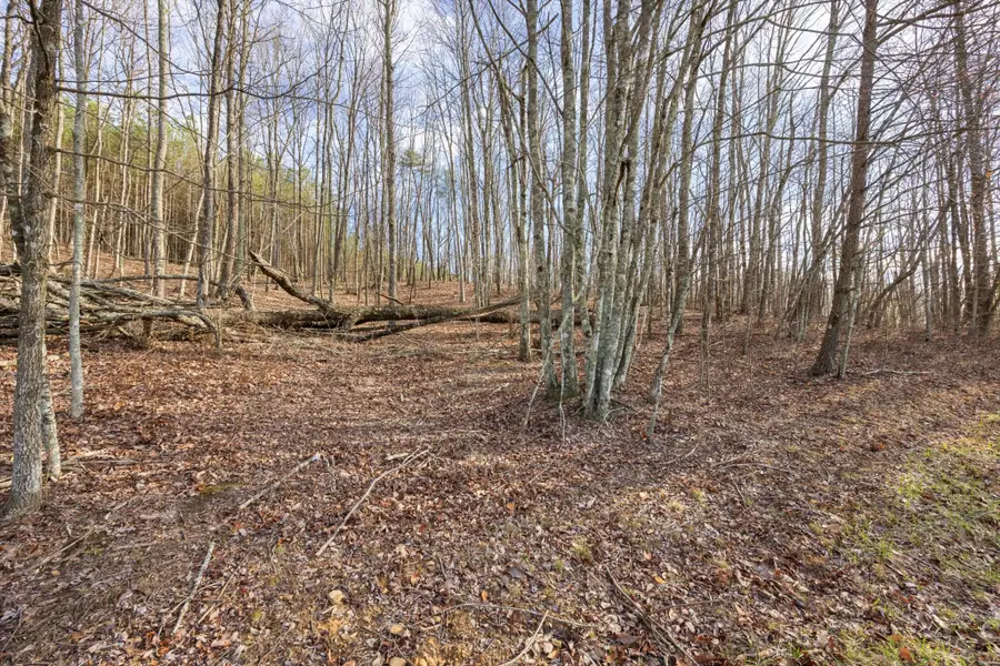 1920 Raulston Falls Road, Jasper, TN 37347 - Image #2