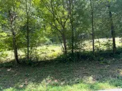 0 Shelter Branch Road, Charlotte, TN 37036 - Image #3