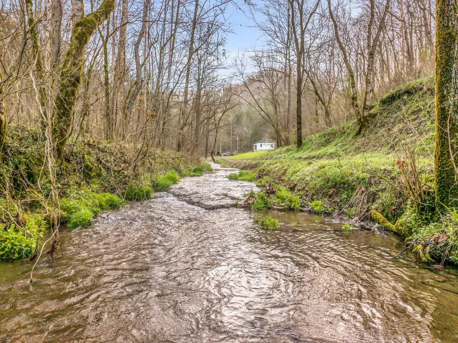 290 Hazel Huffines Ln, Whitleyville, TN 38588 - Image #3