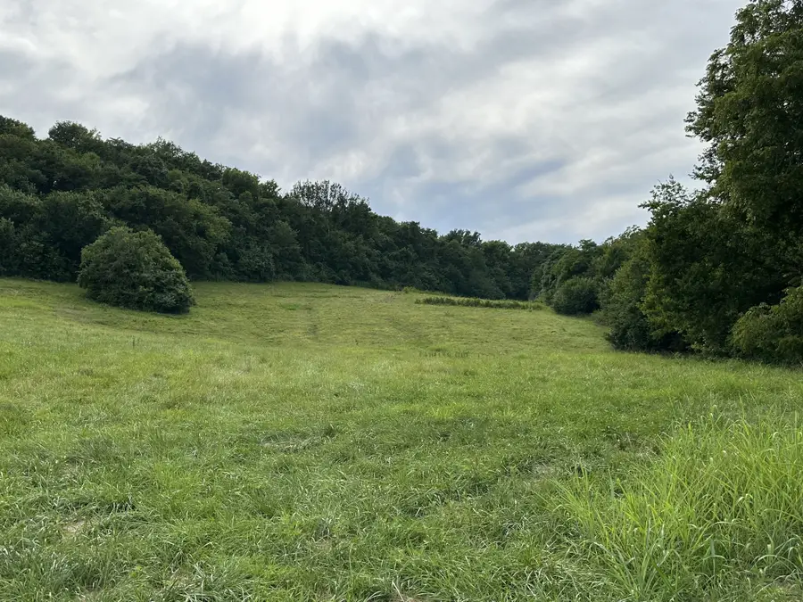 1759 Dean Road, Thompsons Station, TN 37179 - Image #2