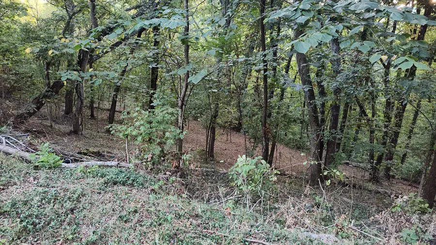 25 Harbor Pointe Lane, Silver Point, TN 38582 - Image #3