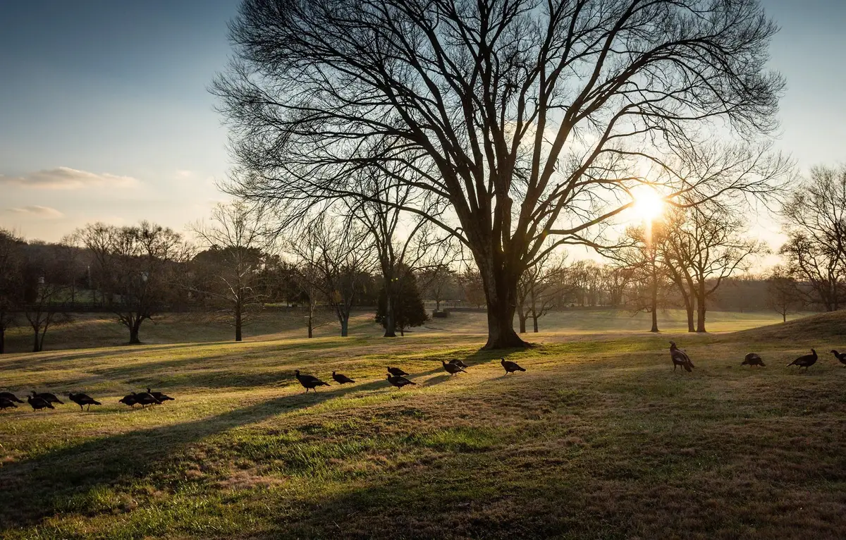 9237 Nina Ct, Brentwood, TN 37027 - #1