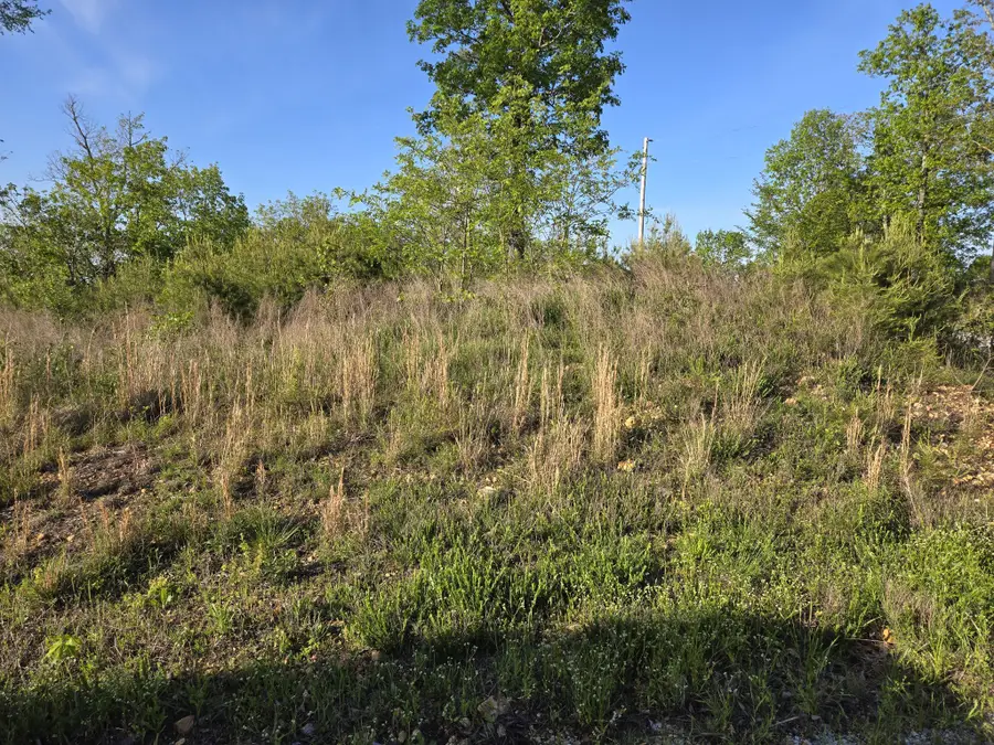 75 Egret Ct, Waverly, TN 37185 - Image #3