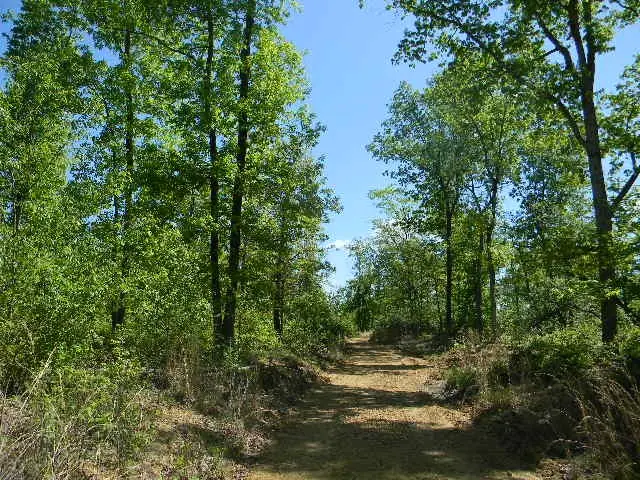 0 Ogden Road, Waverly, TN 37185 - Image #3