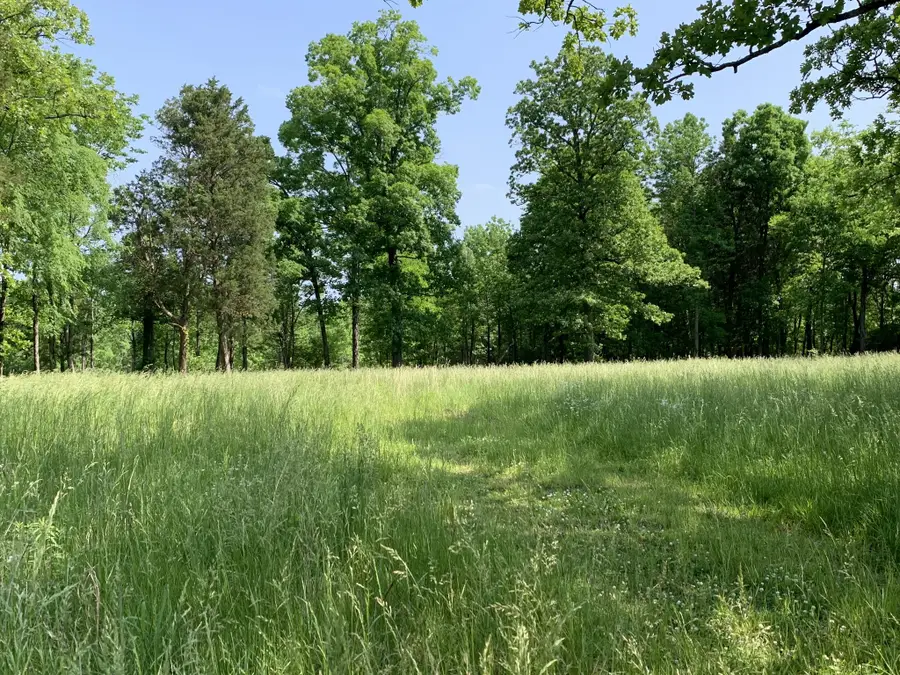 4144 Maxwell Rd, Antioch, TN 37013 - #2