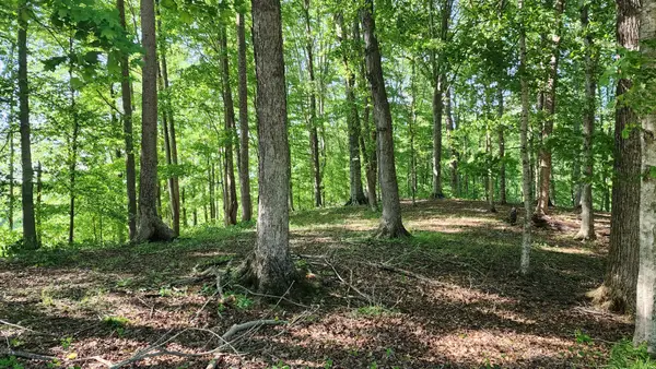 1 Potts Camp Rd, Smithville, TN 37166