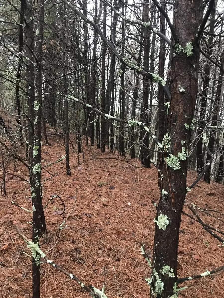 0 Bel Air Way, Copperhill, TN 37317 - Image #2