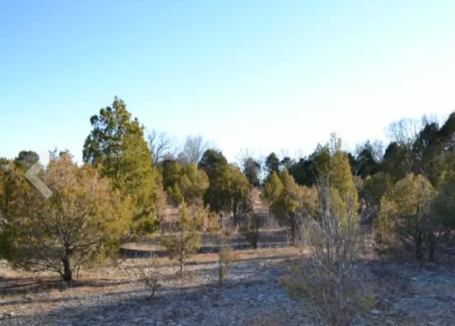 0 Vaughn Rd, Murfreesboro, TN 37129 - #3