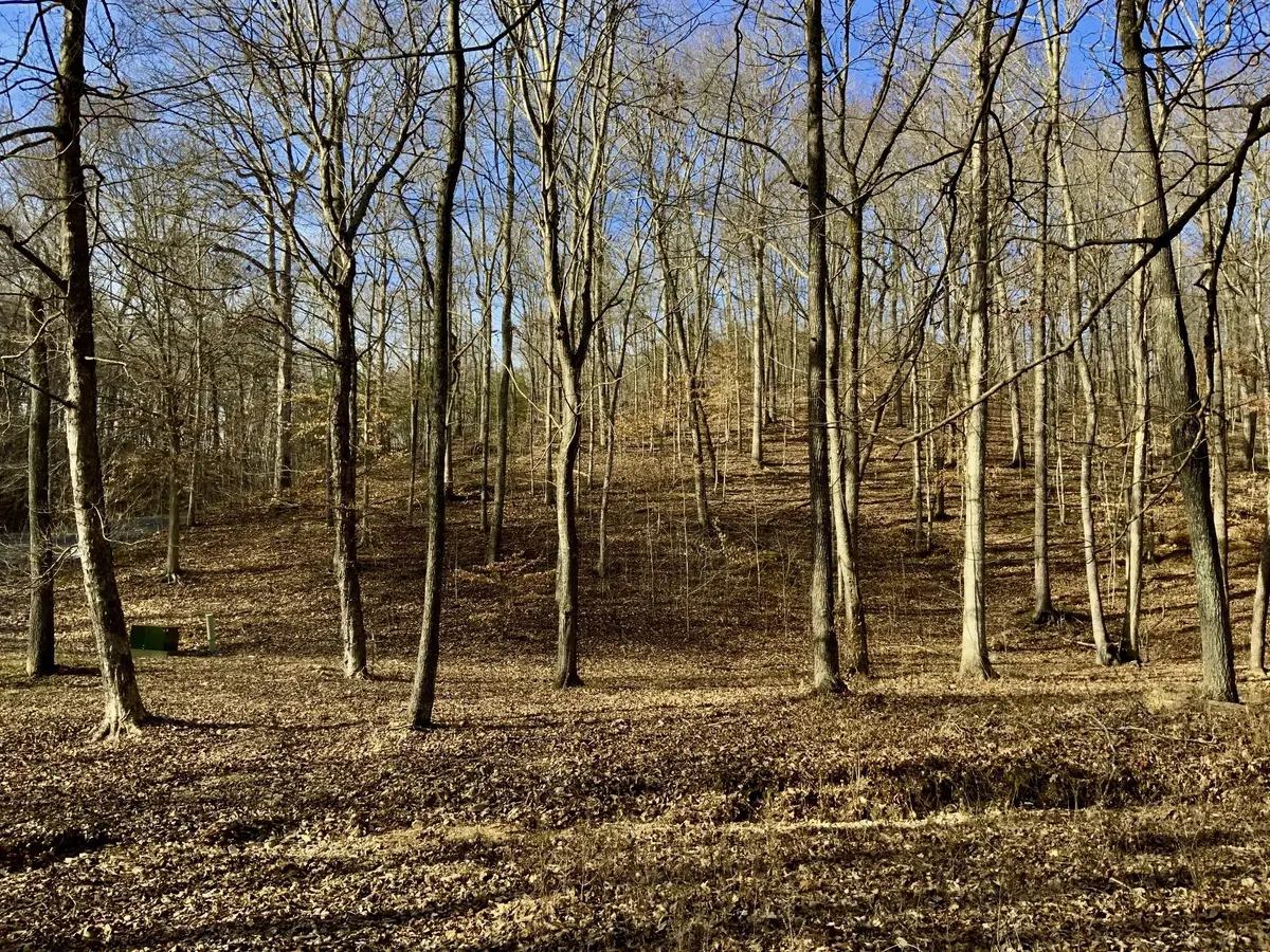 0 Forrest Crossing, Waverly, TN 37185 - Image #1