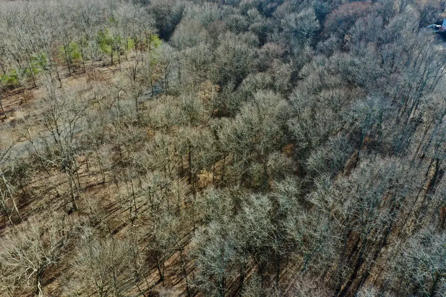 0 Forrest Crossing, Waverly, TN 37185 - Image #3