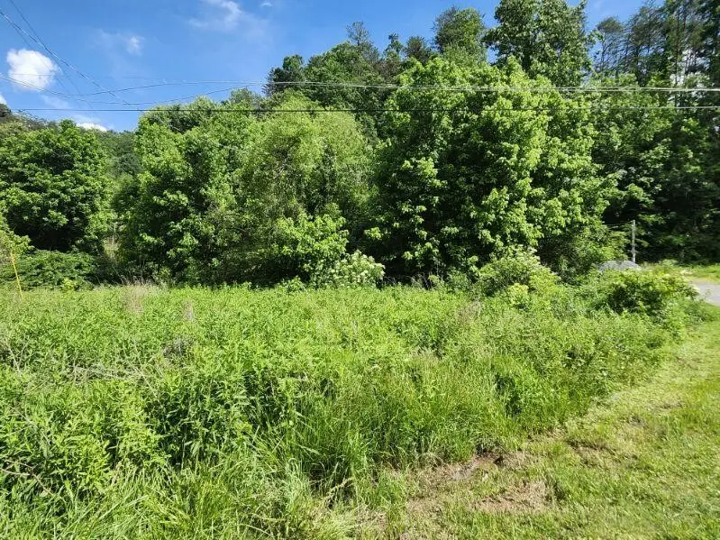 0 Henderson Springs Rd, Sevierville, TN 37862 - Image #3