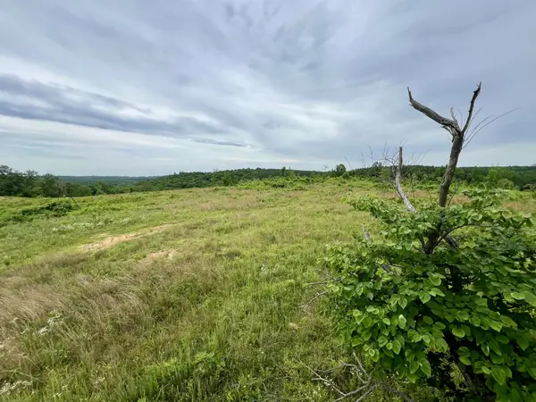 0 Sawdust Road, Hurricane Mills, TN 37078