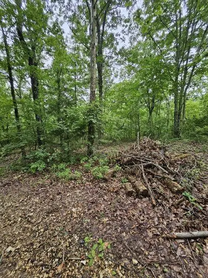 0 Dixie Ct, Holladay, TN 38341 - #3