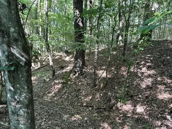 0 Cummins Rd, Eva, TN 38333