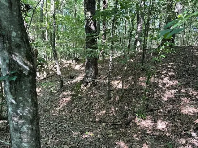 0 Cummins Rd, Eva, TN 38333 - #3