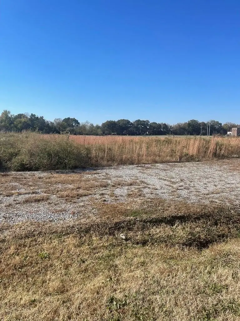 0 Stonehaven Dr, Bells, TN 38006 - Image #2