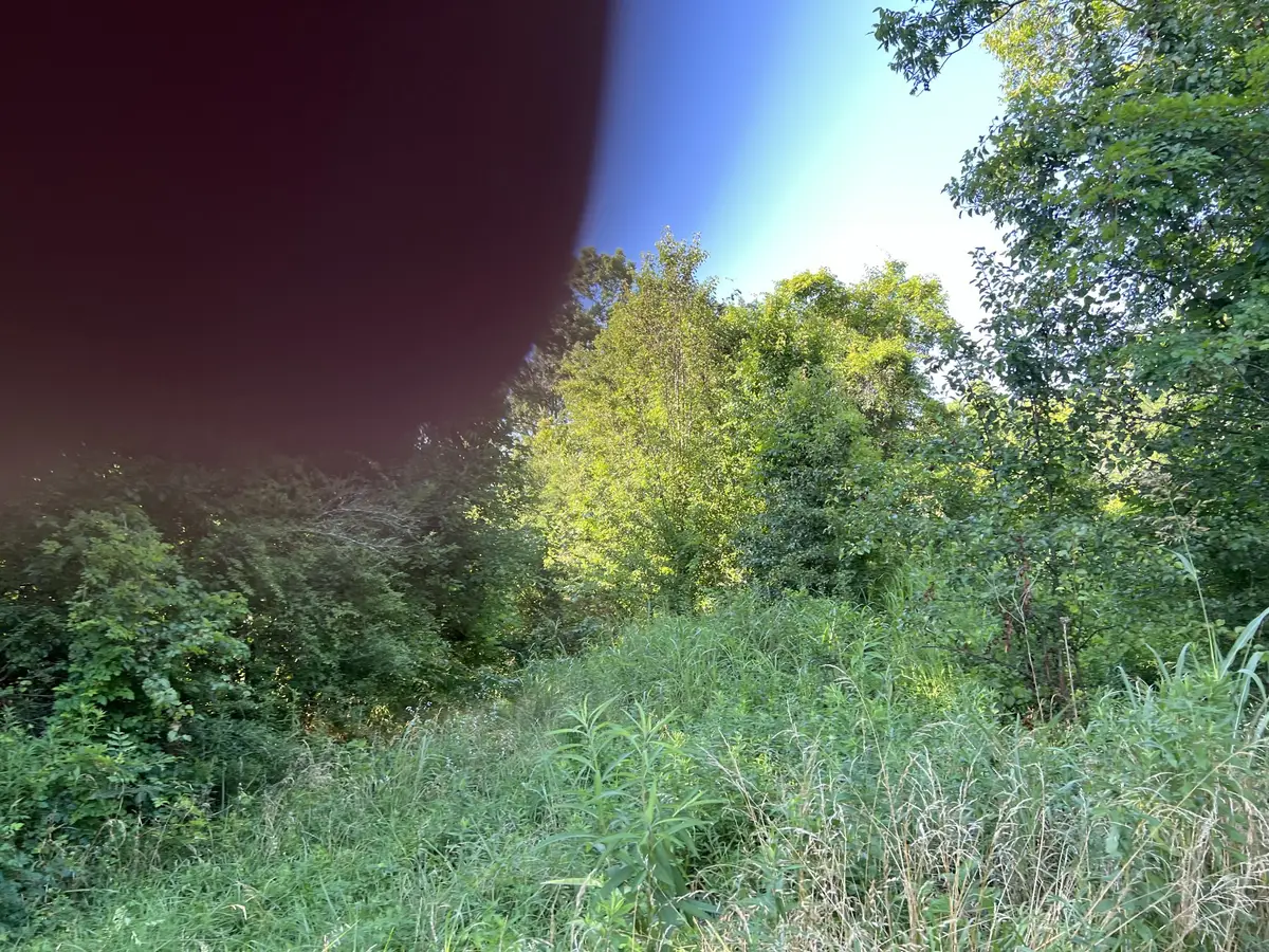 0 N Of Marietta St, Pulaski, TN 38478 - Image #1