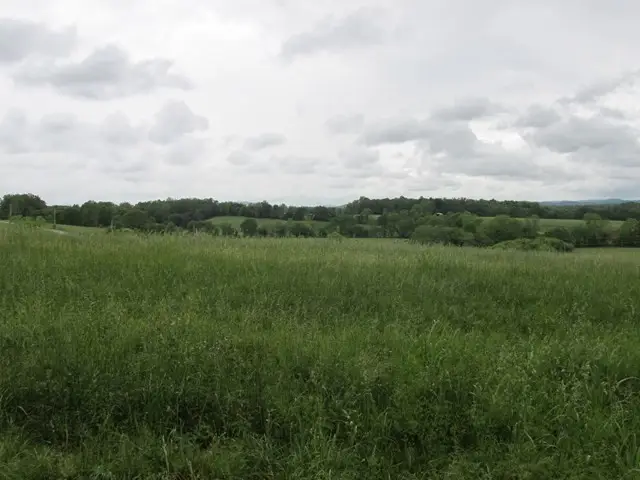 607 Thompson Creek Ln, Cookeville, TN 38506 - #2