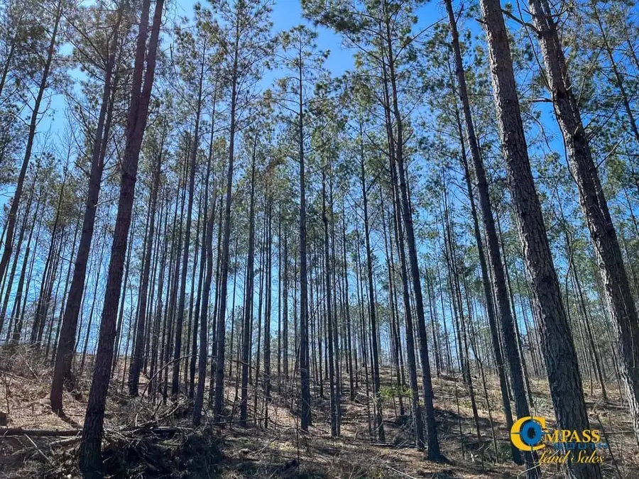 0 Tull Road, Hornsby, TN 38044 - Image #2