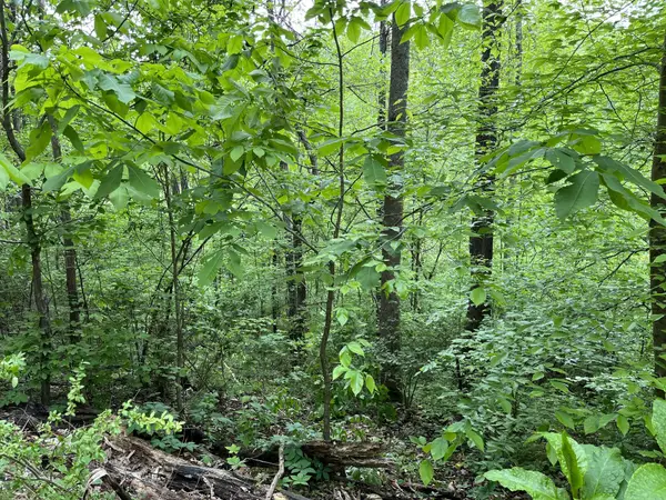 3966 Perkins Rd, Thompsons Station, TN 37179