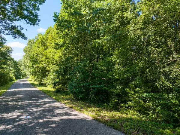 0 Parrish Rd, Linden, TN 37096