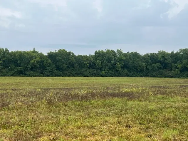 0 Pyles Rd, Chapel Hill, TN 37034 - Image #3