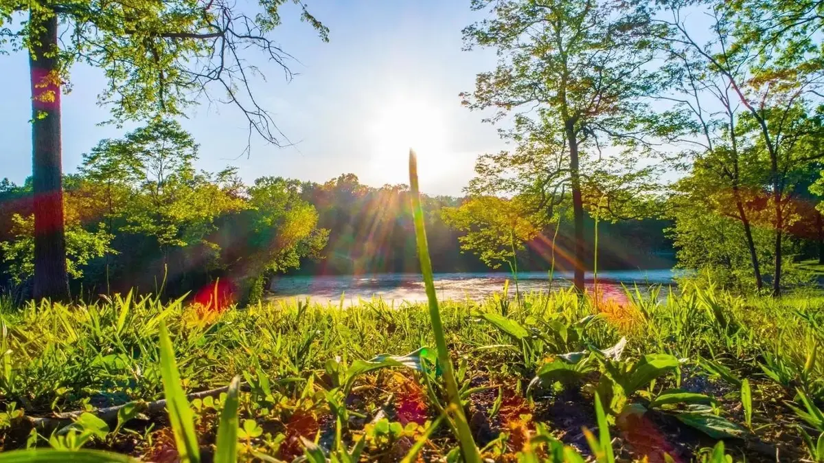 0 Forest Retreat Rd, Hendersonville, TN 37075 - #1