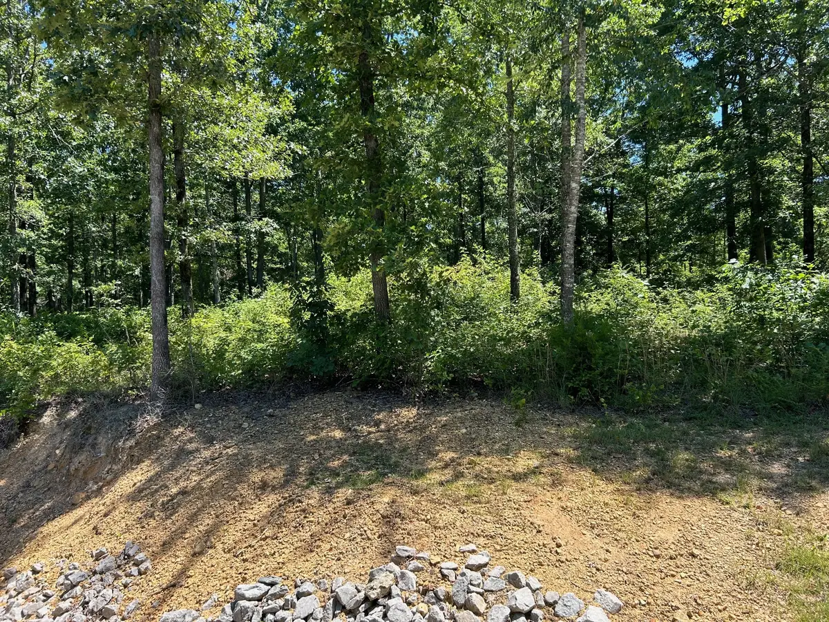 0 Ridgewood Dr, McEwen, TN 37101 - Image #1