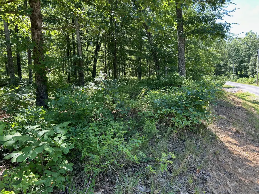 0 Ridgewood Dr, McEwen, TN 37101 - Image #3