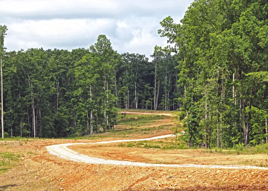 0 Bell Hollow Rd, Vanleer, TN 37181 - Image #3