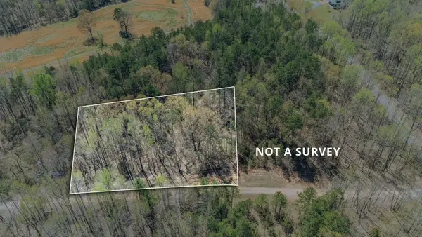 1102 Driver Ln, Saulsbury, TN 38067