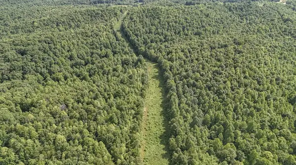 0 Ashland Rd, Waynesboro, TN 38485