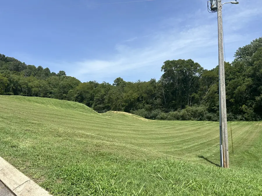 308 Grandview Circle, Normandy, TN 37360 - Image #3