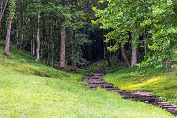 0 Skelley Rd, Santa Fe, TN 38482