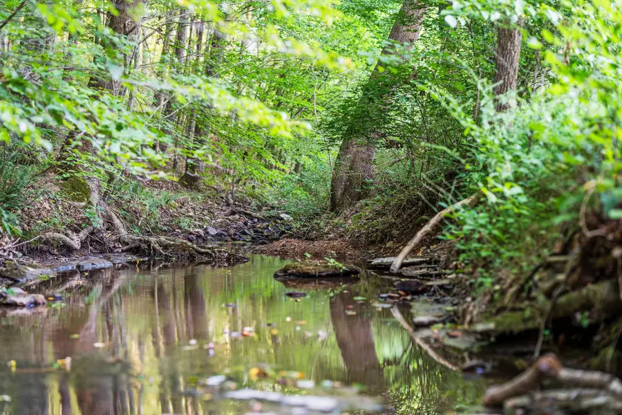 0 Skelley Rd, Santa Fe, TN 38482 - Image #3