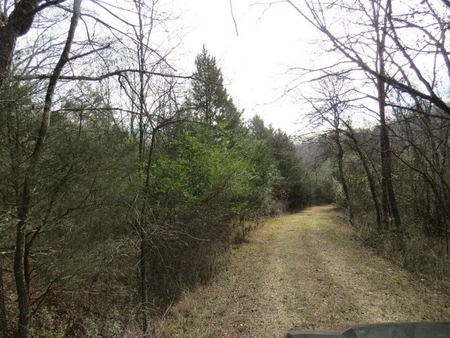 958 Dollar Hollow Road, Pulaski, TN 38478 - Image #1