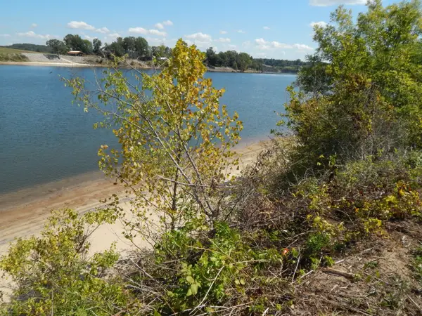 98 Cravens Rd, Savannah, TN 38372