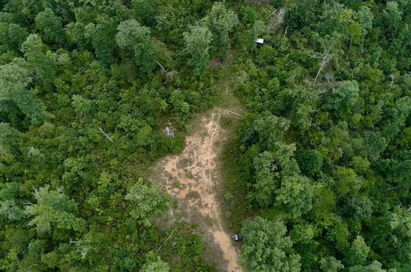 0 Mouse Tail Rd, Parsons, TN 38363