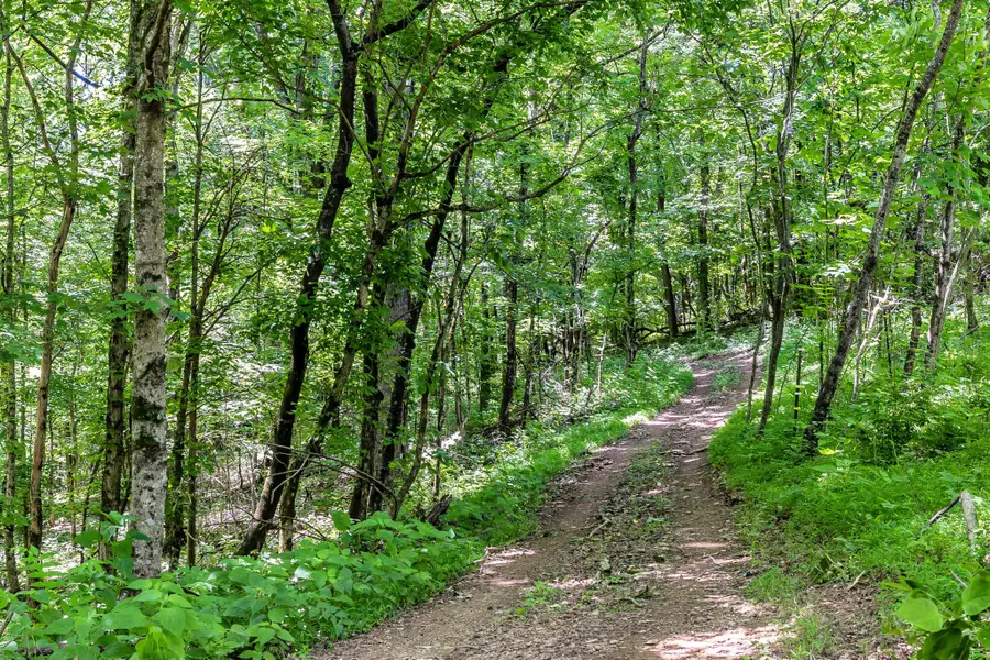 0 Lickton Pike, Goodlettsville, TN 37072 - Image #3