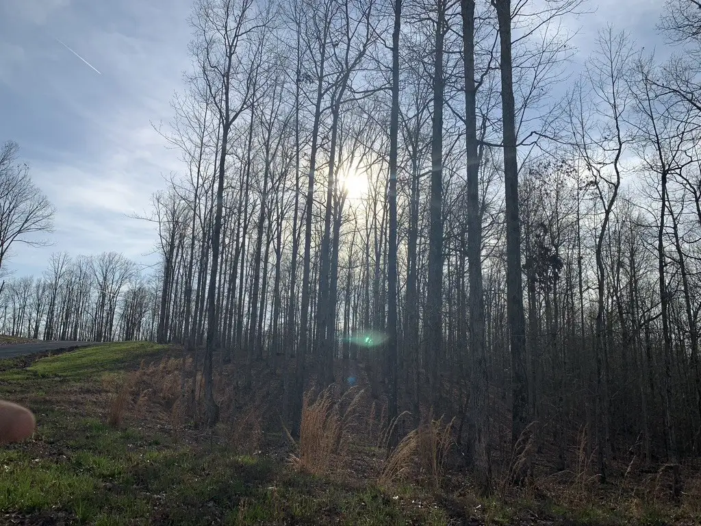 1385 Ridgewood Drive, Mc Ewen, TN 37101 - Image #1