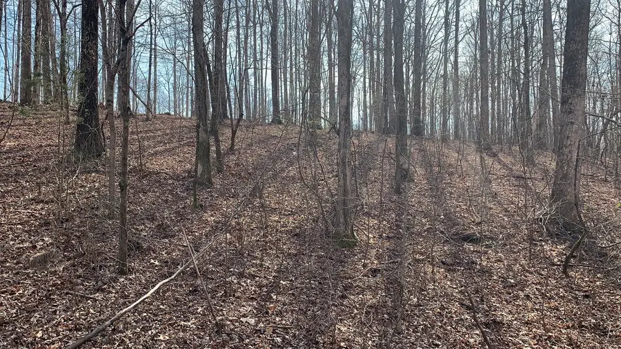 1385 Ridgewood Drive, Mc Ewen, TN 37101 - Image #2