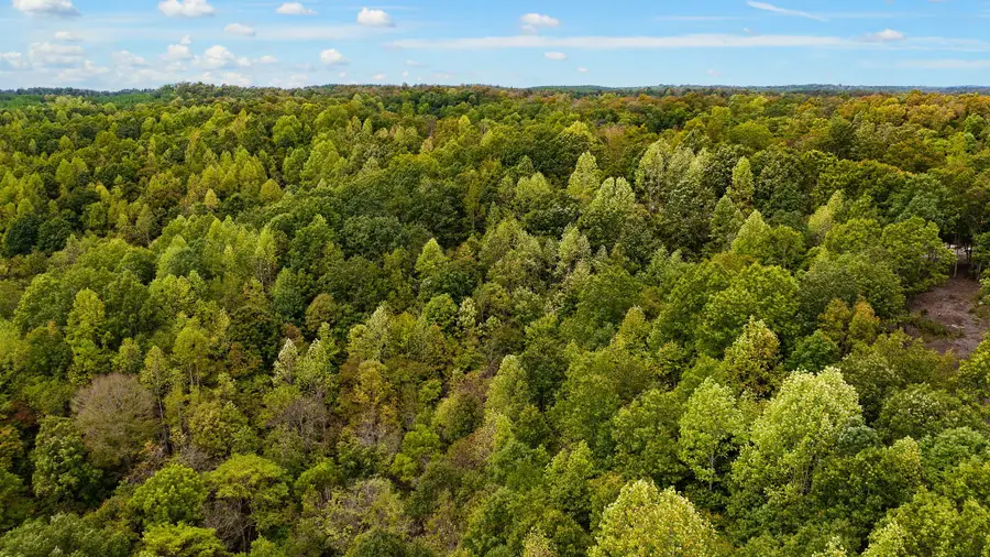 352 Briarwood Dr, Linden, TN 37096 - Image #2